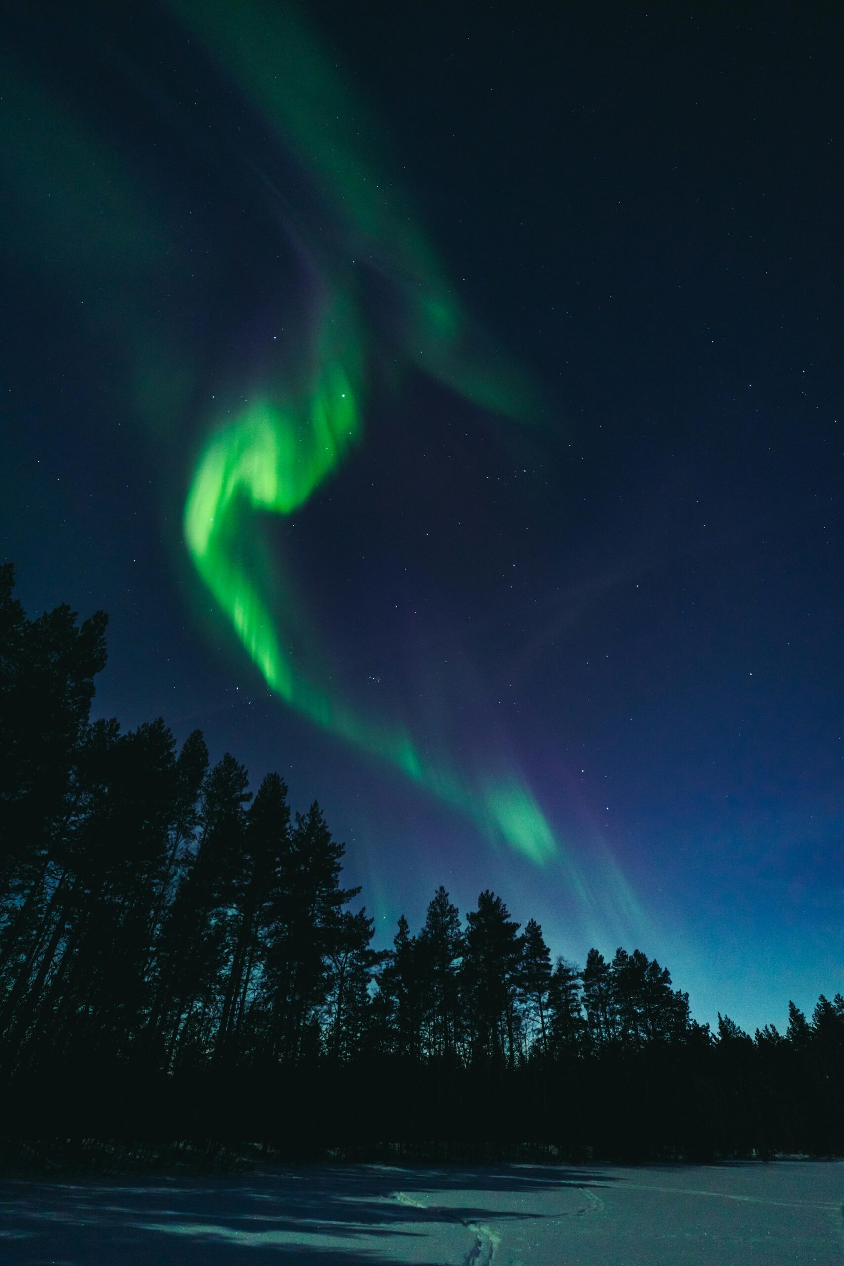 Northern lights glow over a snowy forest in Oulu, Finland, creating a mesmerizing night sky scene.